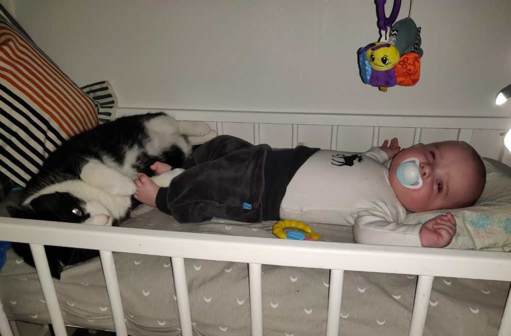 baby sucking on a pacifier while lying in a crib with a cat laying at his feet.
